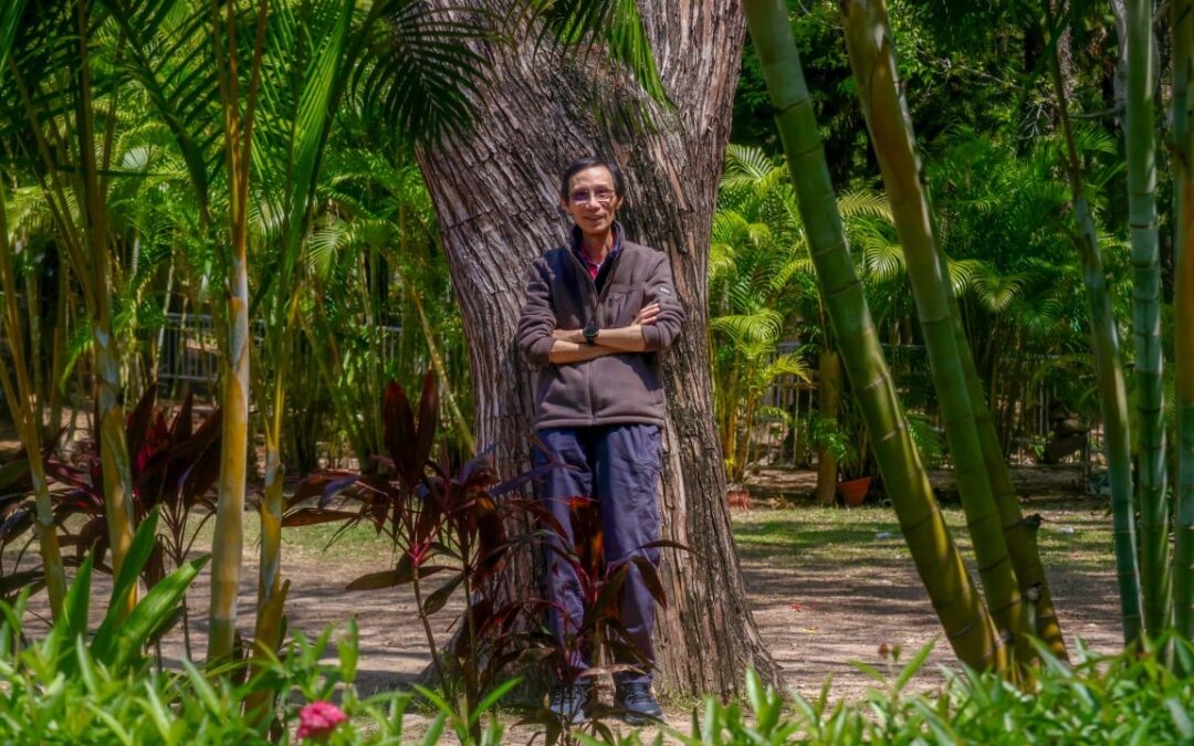 Veteran activist warns of ‘shrinking space’ for green advocacy in Hong Kong