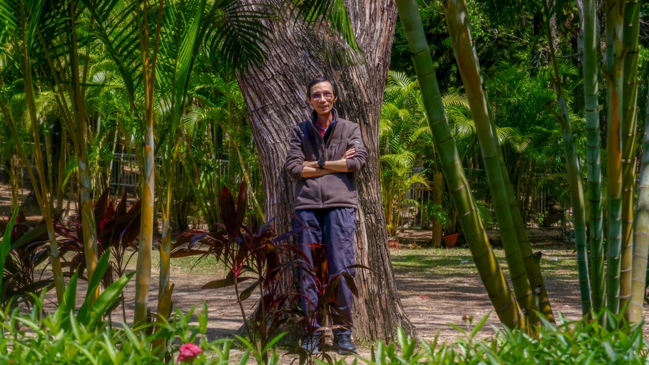 Veteran activist warns of ‘shrinking space’ for green advocacy in Hong Kong