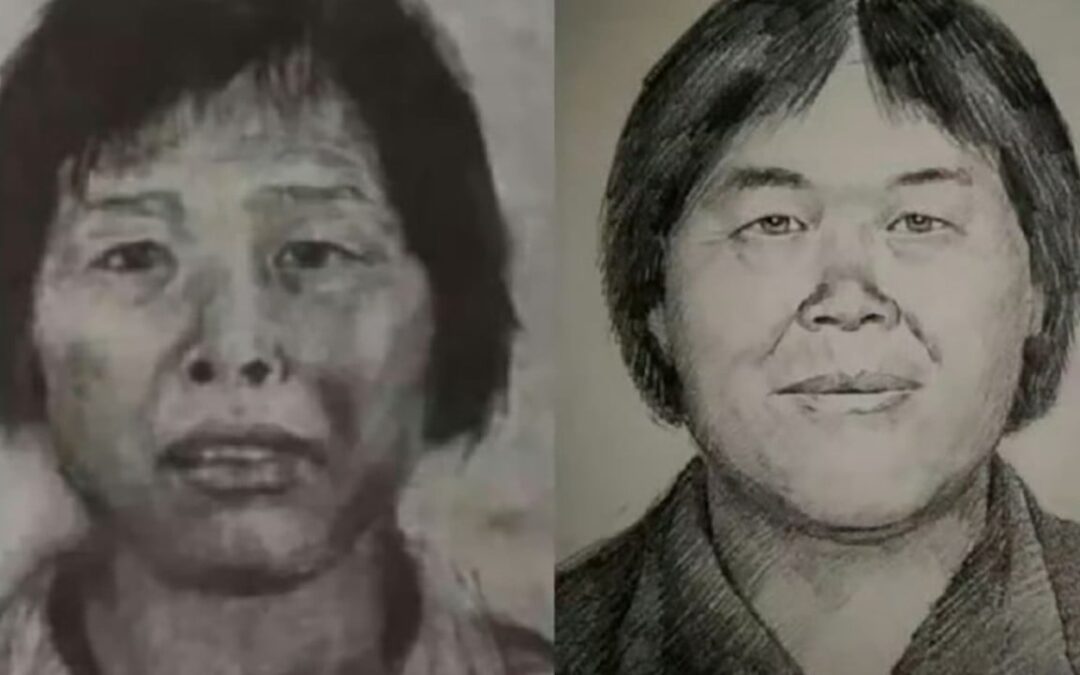 China’s infamous ‘Aunt Mei’ arrested after decade-long hunt for child trafficker