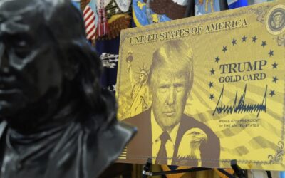 TP-Link’s Chinese founder Jeffrey Chao seeks US$1 million Trump Gold Card visa