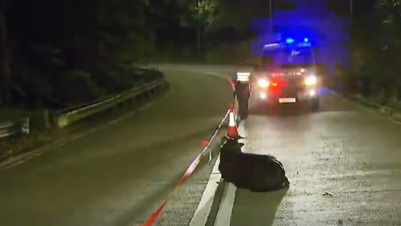 Man injured after being caught between fighting cows on Hong Kong hiking trail