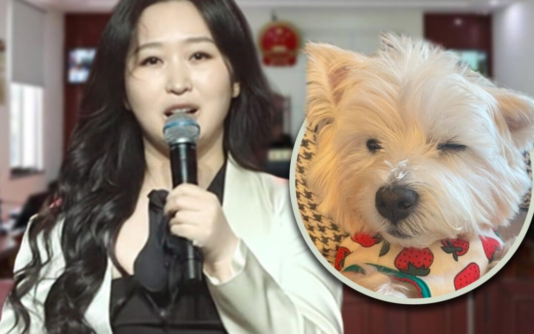 Chinese woman whose pet dog was poisoned, killed by neighbour, sacrifices job for the cause