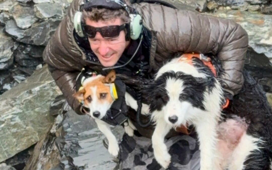 Dog lost for a week in New Zealand bush found after strangers fund US$6,300 air search