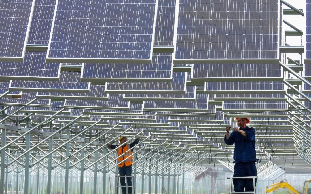 Turning point? Clean energy met 100% of world’s new power needs in 2025: report
