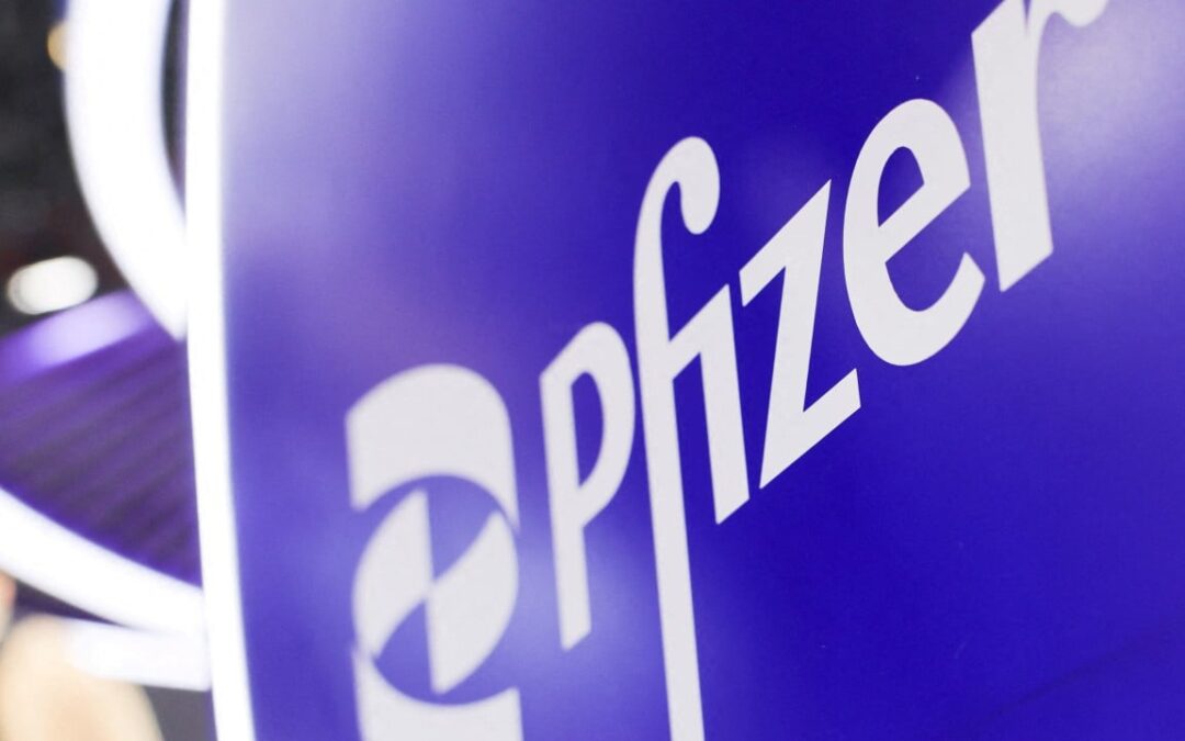 Which global firms are being attracted by Hong Kong’s strategic enterprise scheme?