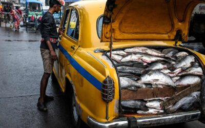 Fish and vegetarianism major flashpoints in India’s West Bengal election