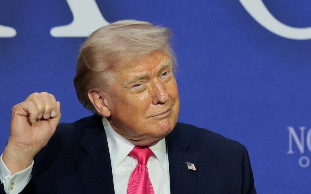 ‘China or India or some other hellhole’: Trump reposts anti-immigrant rant