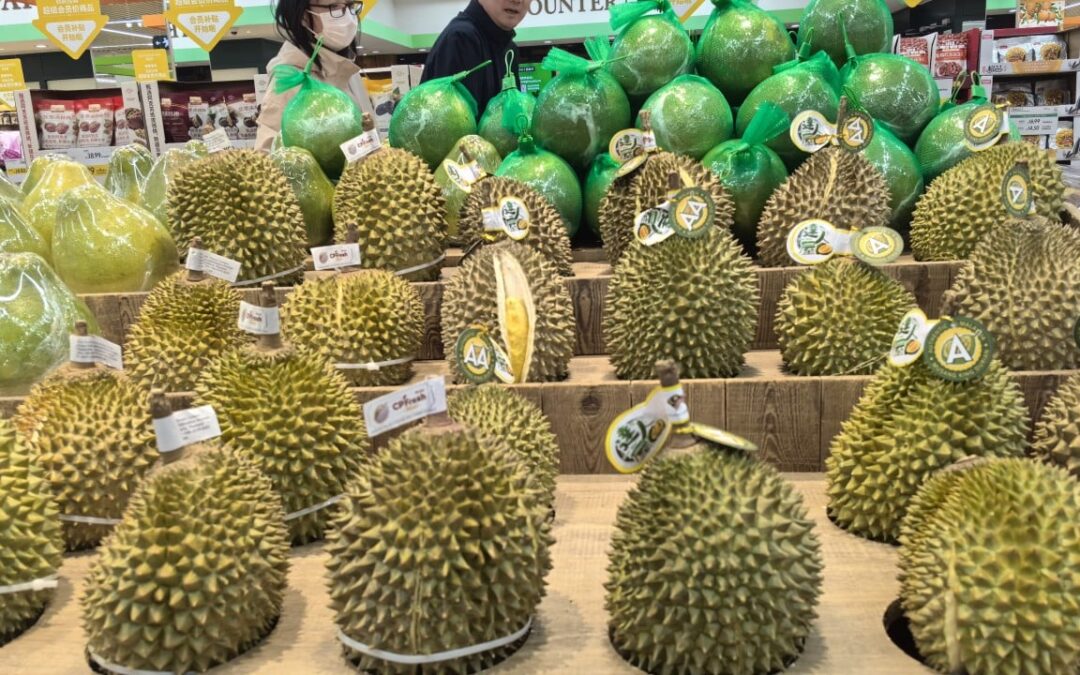 Malaysia’s durian growers in ‘survival mode’ as early glut and Iran war hit export trade
