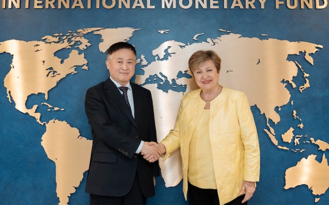 China presses IMF for quota reform, better surveillance of advanced economies