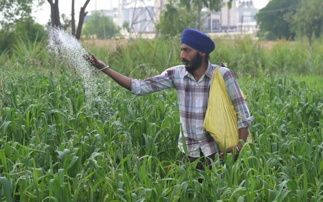 Asian economies face ‘formidable test’ as Middle East conflict drags on: ADB