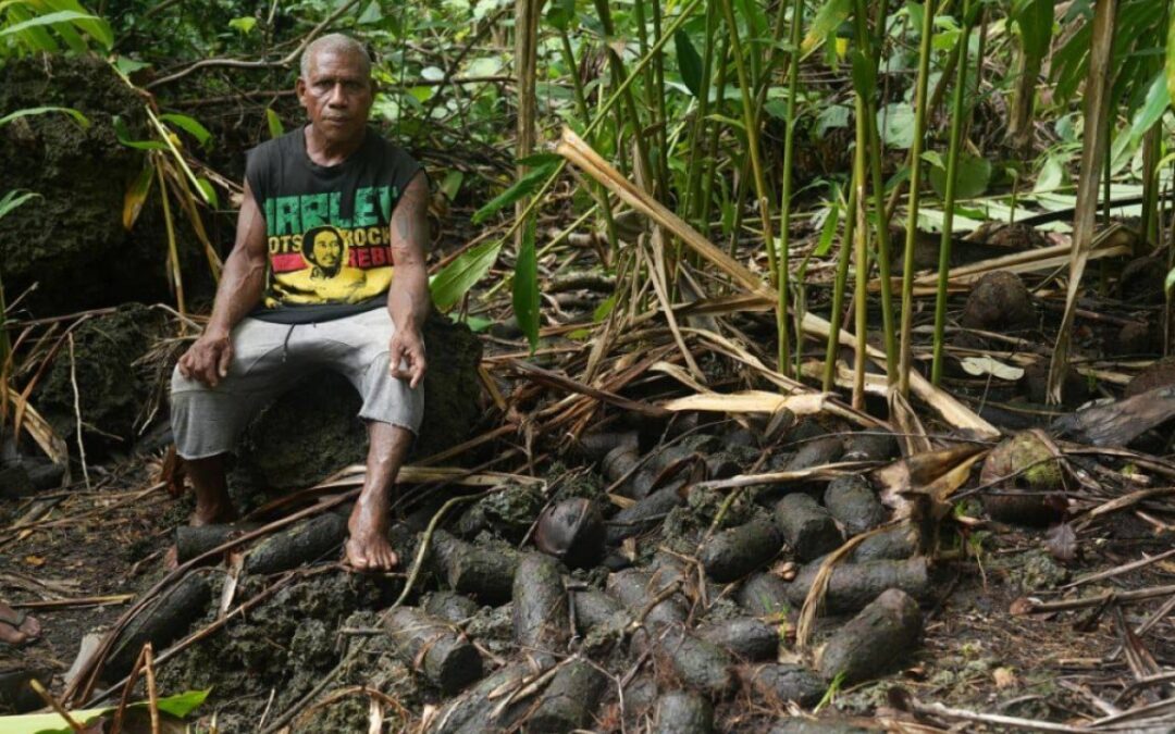 Solomon Islands residents live in fear of WWII bomb explosions