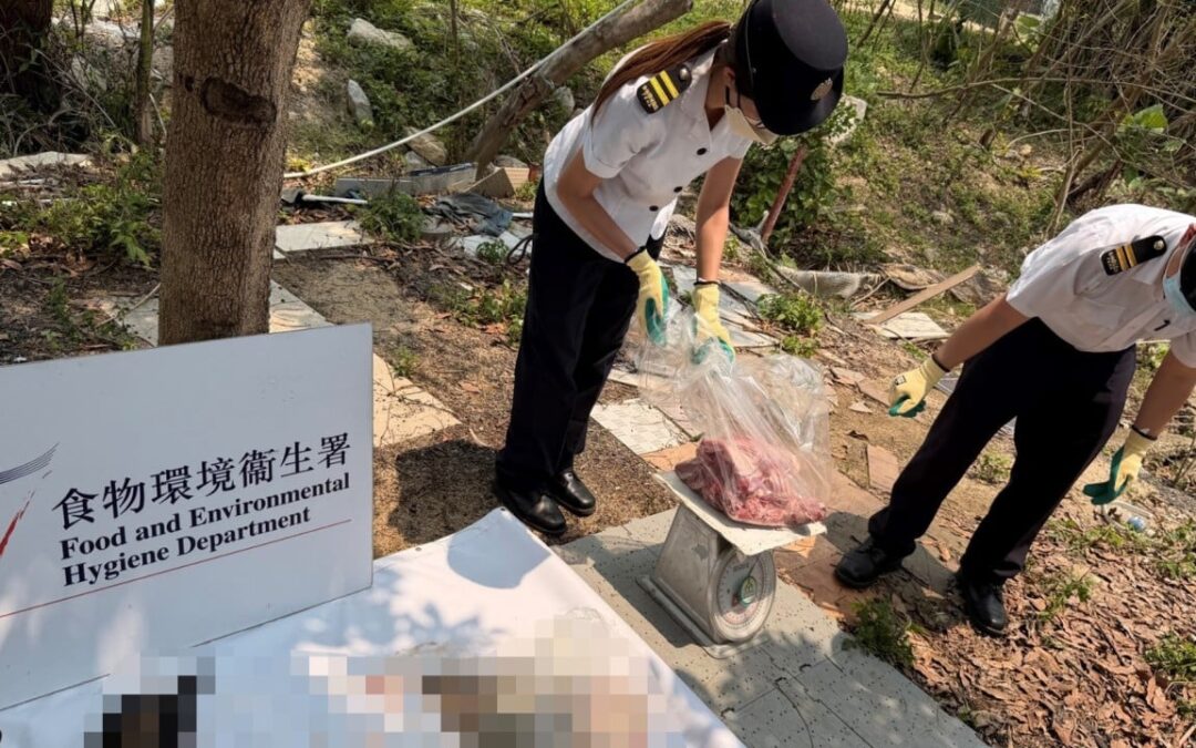 Hong Kong authorities use drones to help raid illegal slaughterhouse in Yuen Long