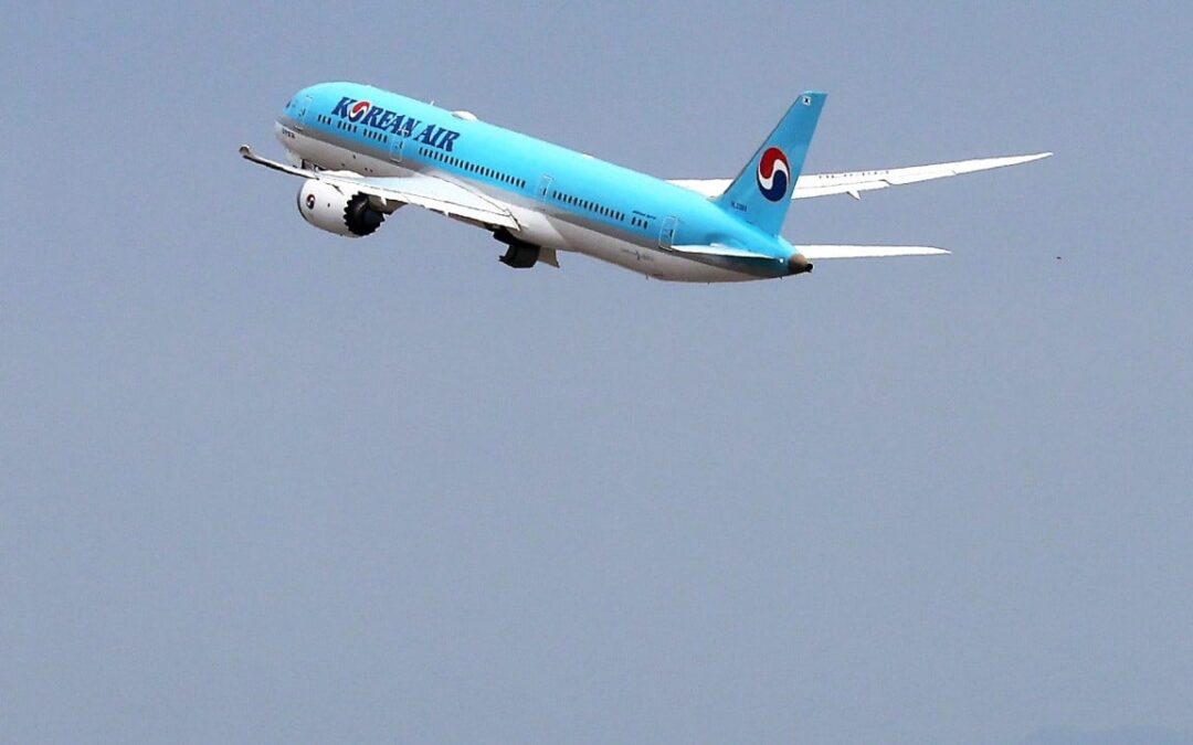 ‘I can’t breathe’: Korean Air sued over in-flight death of passenger
