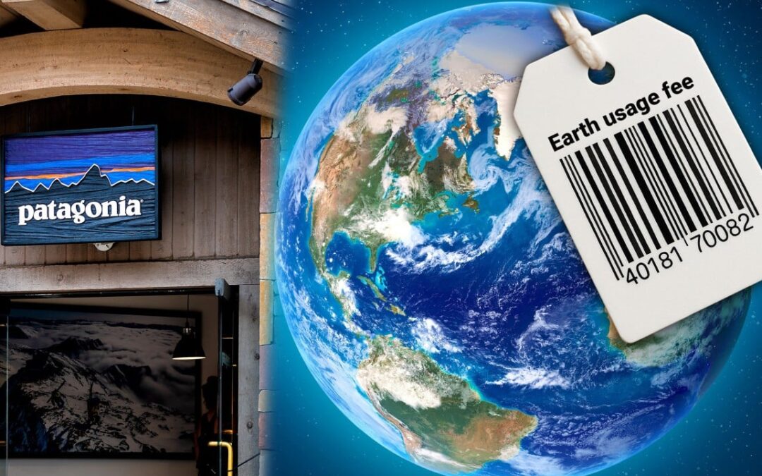 Patagonia faces criticism for ‘earth usage fee’ on online orders to curb excessive returns