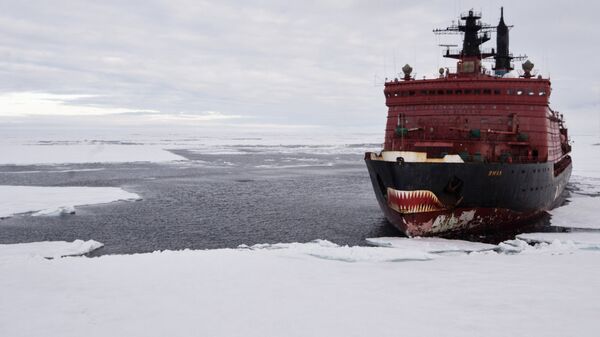 Arctic Cooperation Impossible Without Russia – Expert