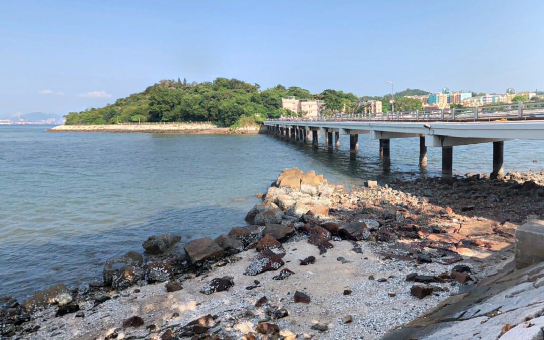 Filipino teenager, 17, drowns after falling from Peng Chau bridge in Hong Kong