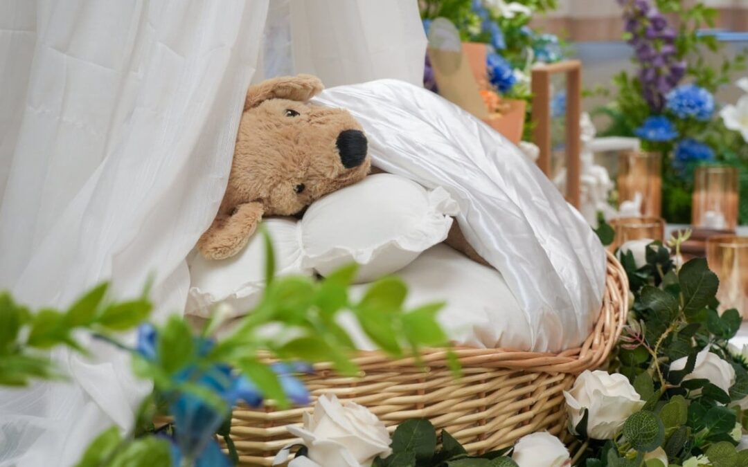 ‘Bury me with them’: animal-lovers want same cemetery plots as their pets