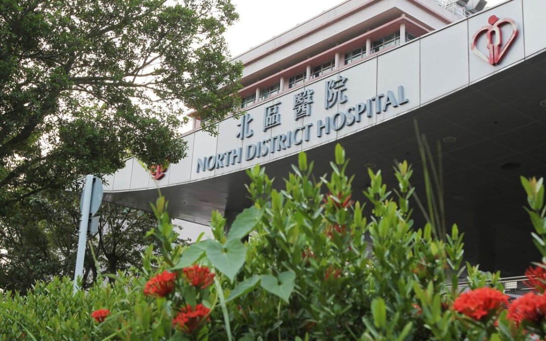 Hong Kong police arrest minibus driver after cyclist killed in collision