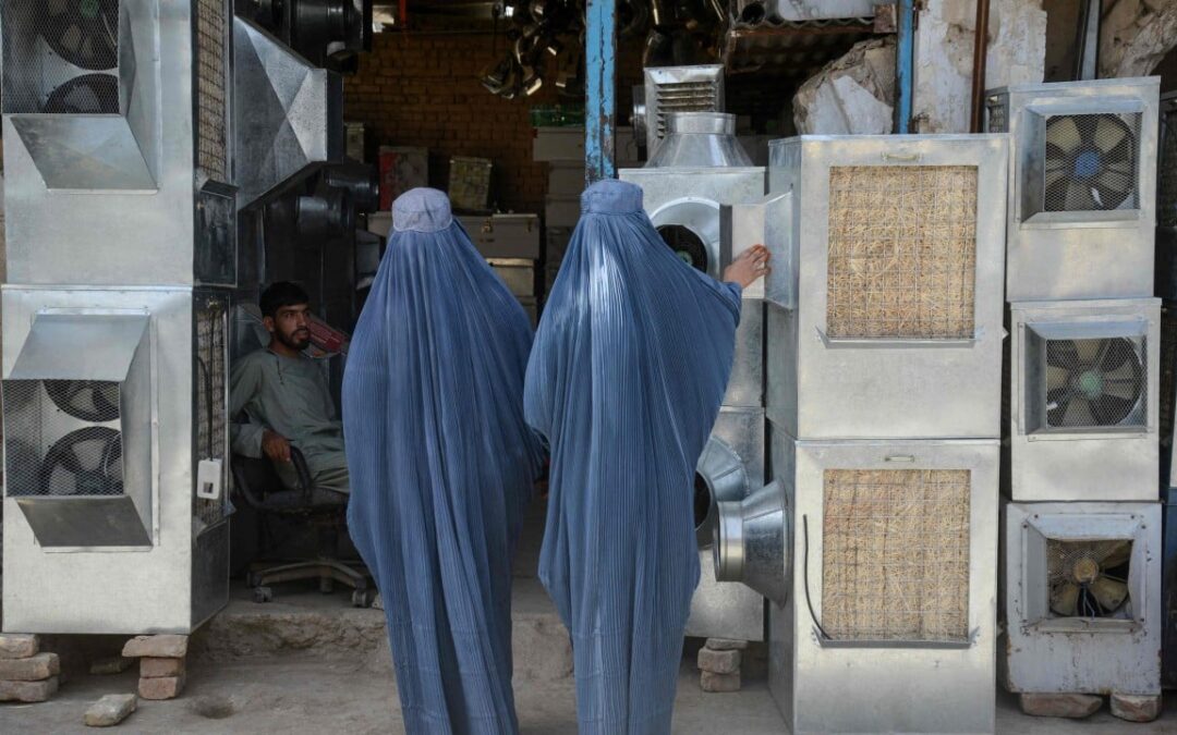 Afghan women detained by Taliban in clothing crackdown