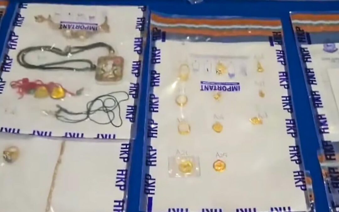 9 arrested after HK$2.7 million in cash, goods stolen from Hong Kong farm