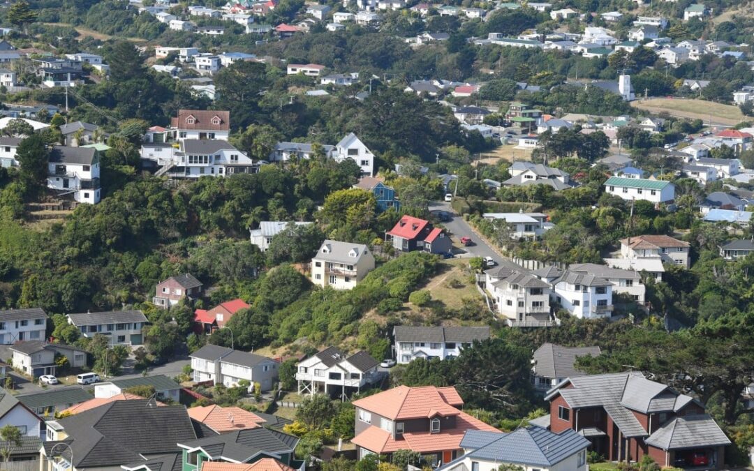 New Zealand’s Wellington hit by ‘disgusting’ deluge of faeces, sanitary items after storm