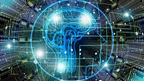 Iranian Scientists Build Lab-Grown Artificial Brain From Living Human Neurons