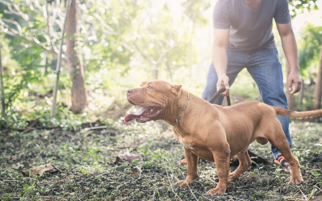 Girl in Germany dies after family dog bites her