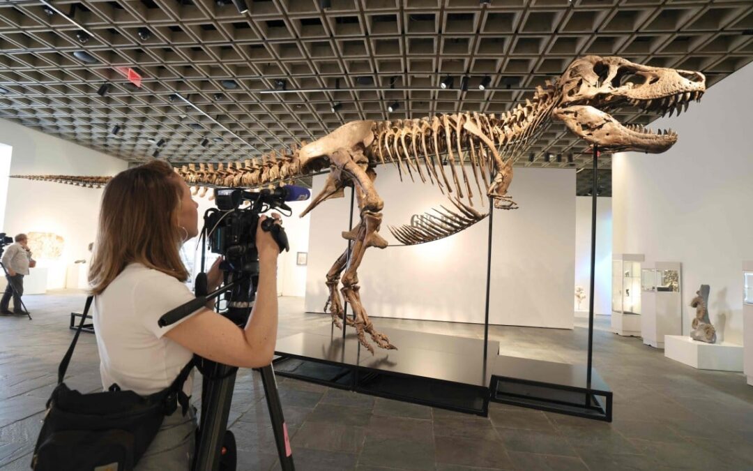 ‘Gus’ the T. rex fetches record US$50.1 million at US auction