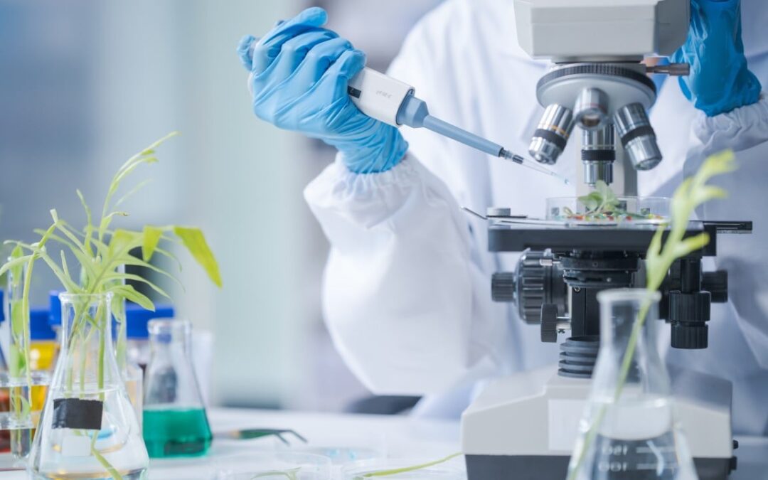 US biotech firm developing therapies for infant brain injuries plans Hong Kong listing