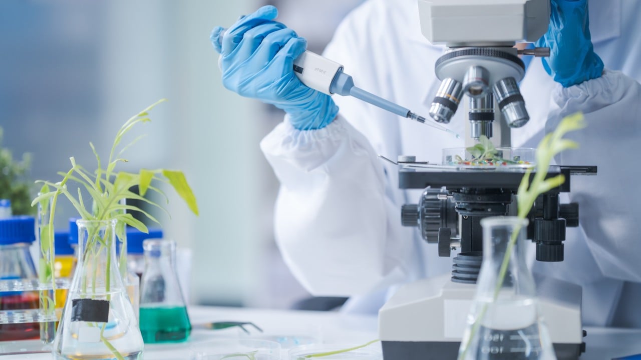 US biotech firm developing therapies for infant brain injuries plans Hong Kong listing