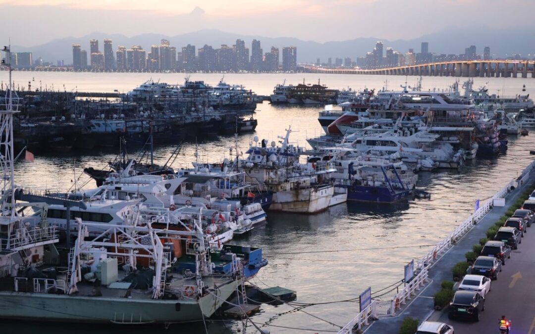 Flights disrupted as weakened Bavi still packs a punch on its way towards China