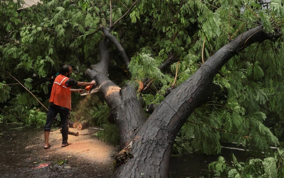 6 killed in Mumbai building collapse as monsoon rains batter India