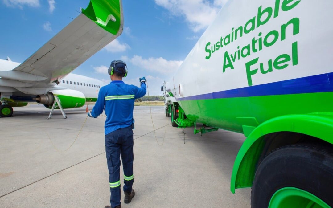 India’s toxic crop waste could fuel global airlines, study finds