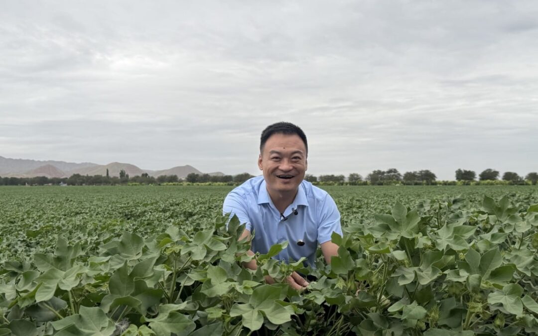 How Xinjiang offers Hong Kong a bridge to Central Asia — and what the risks are