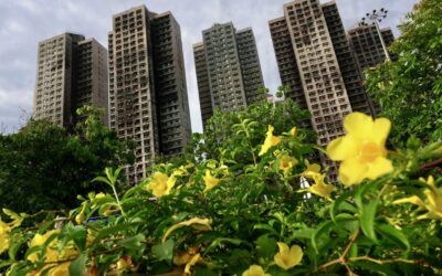 Tai Po fire: corrupt players exploited loopholes in regulations, inquiry hears