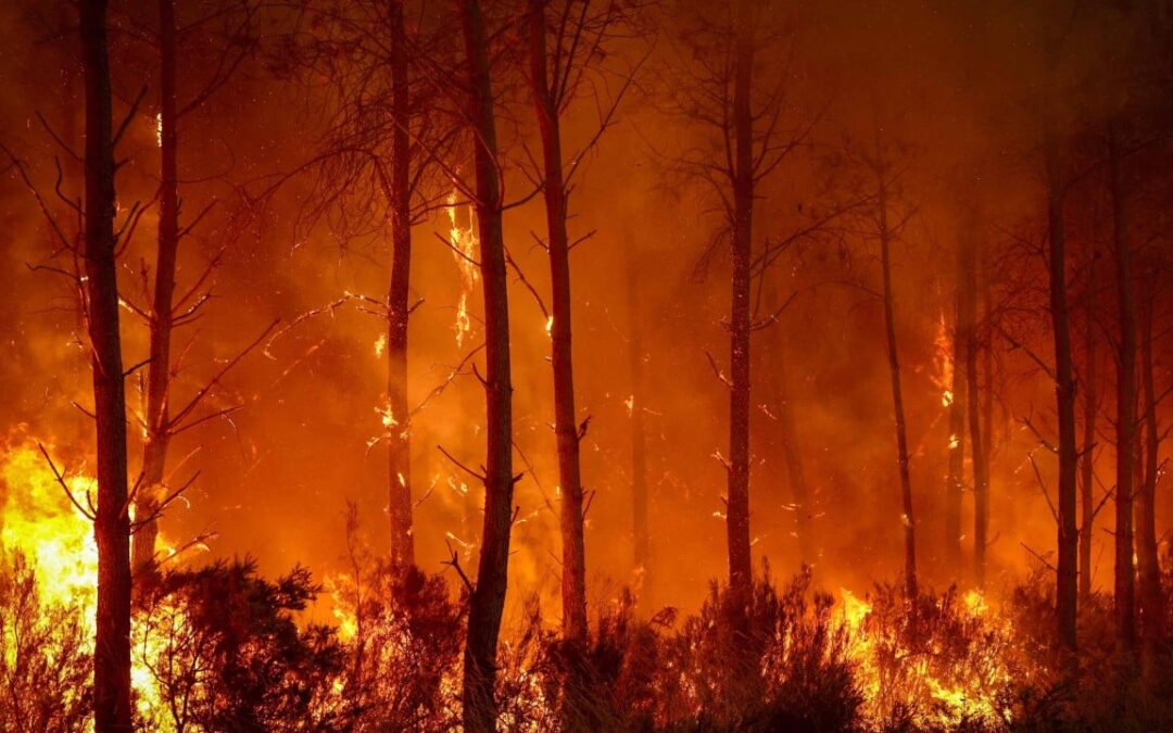 France and Spain race to curb wildfires before new heatwave arrives