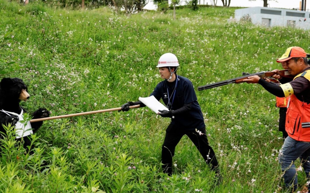 How a Japanese prefecture is managing rising bear population with microchips