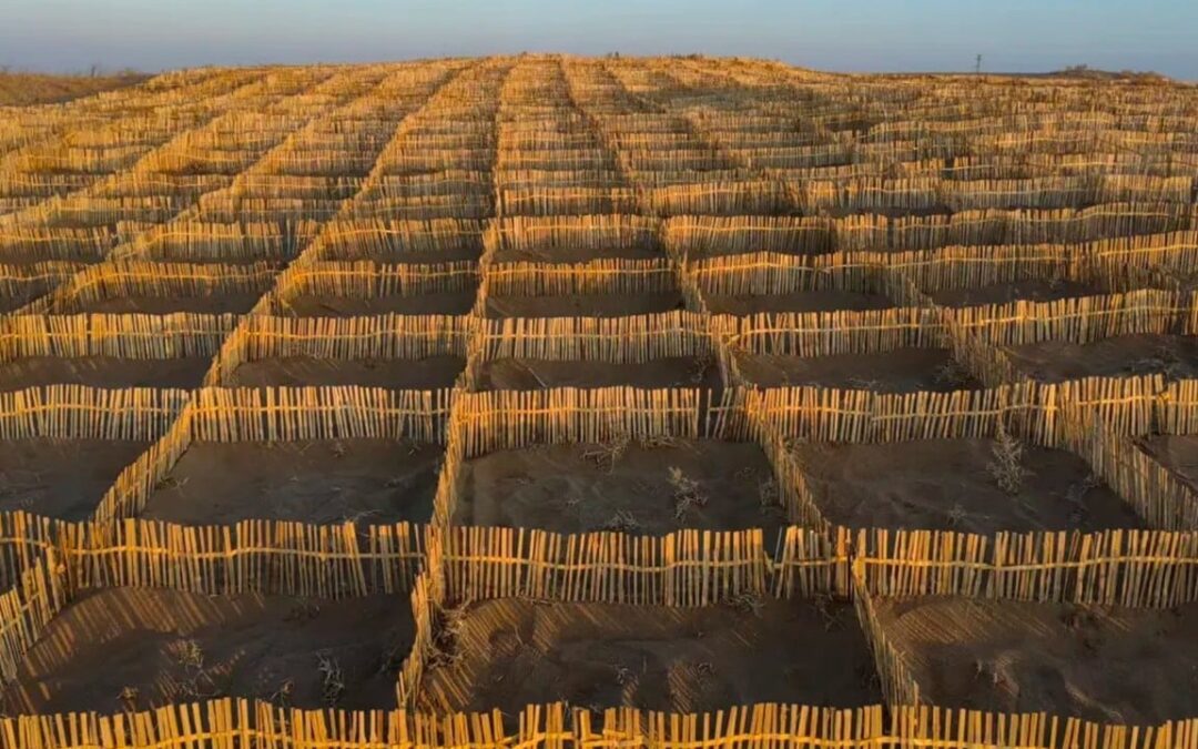 Chinese data challenges US-Iran war claims; bamboo vs desertification: SCMP’s 7 highlights