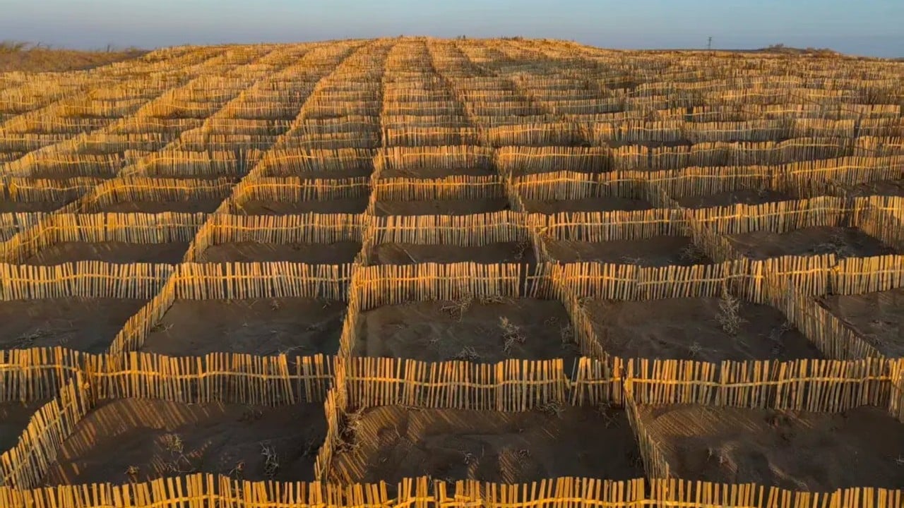 Chinese data challenges US-Iran war claims; bamboo vs desertification: SCMP’s 7 highlights
