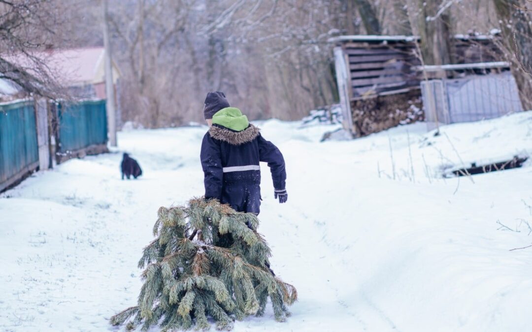 Christmas tree troubles, new Pacific missile launch: 7 US-China relations reads