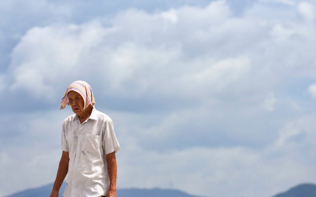 78% of low-income elderly Hongkongers report heat-related distress, survey finds