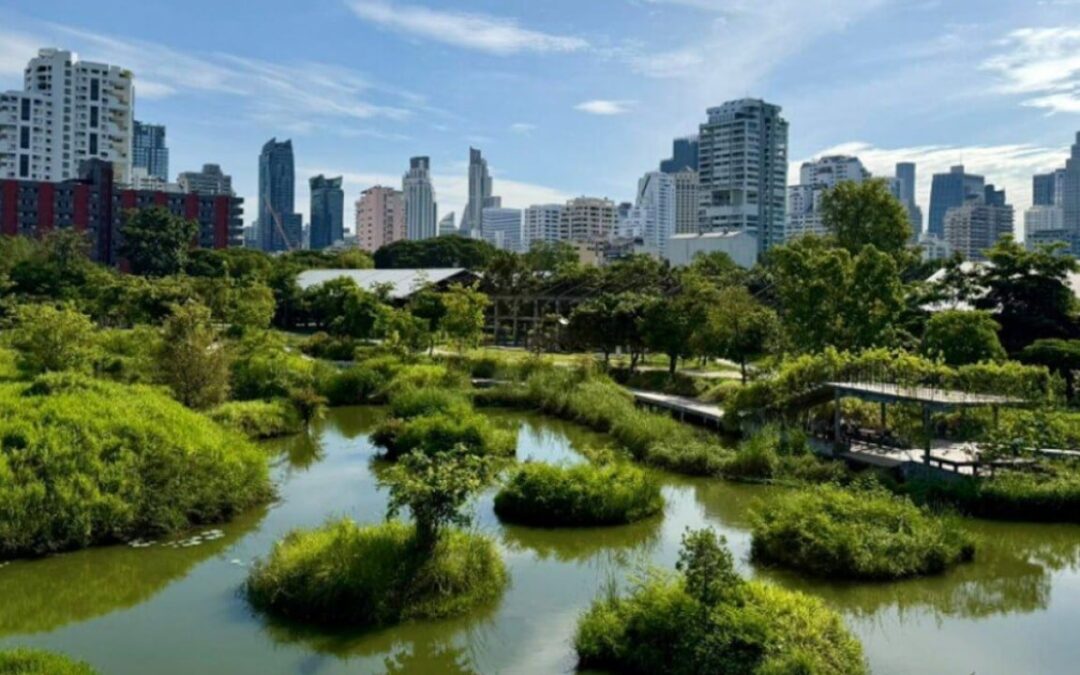 Bangkok branches out: secret to Thai capital’s green revival