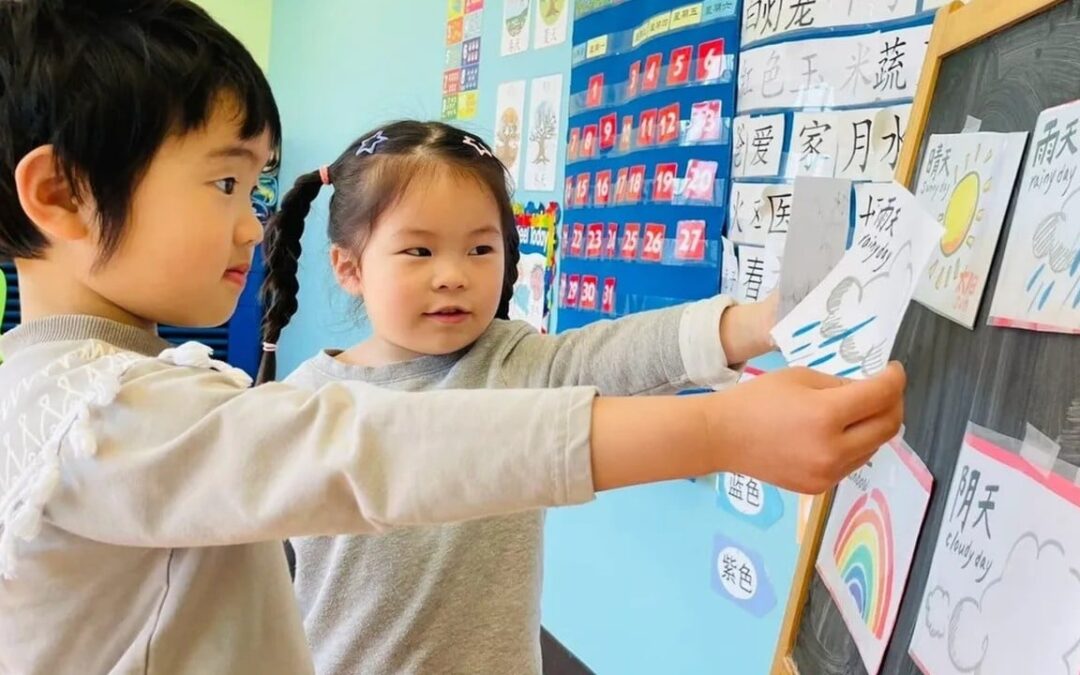 US K-12 immersion schools expand across country for early-age Chinese language education
