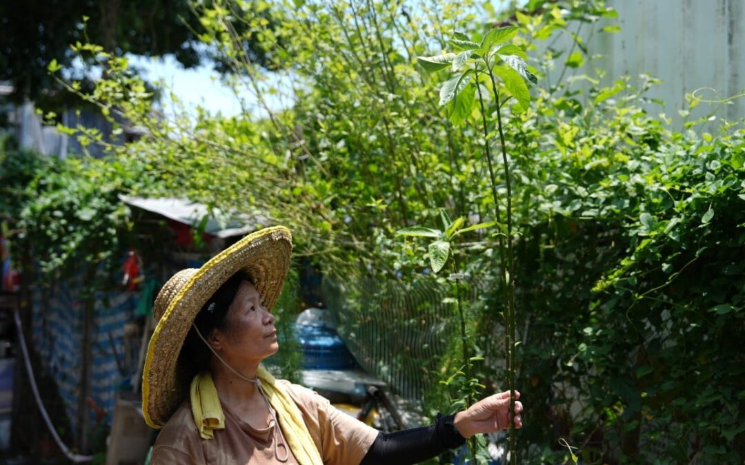 ‘I had planned to stay for life’: last villagers prepare to leave Cha Kwo Ling