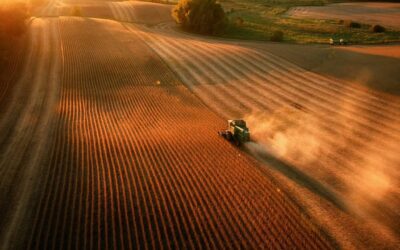 China buys at least 10 more cargoes of US soybeans, traders say