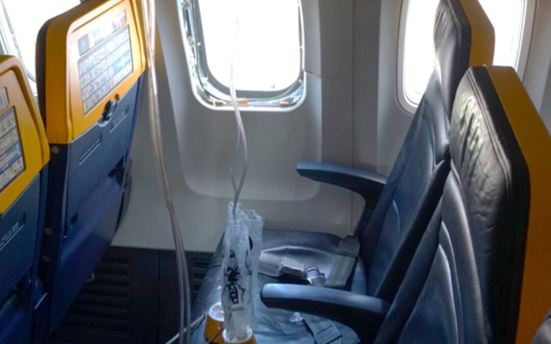 Bird remains found in engine after man nearly sucked out of window on Ryanair flight
