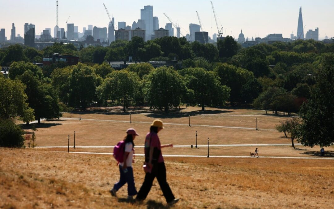 Homes crack as London heatwaves trigger record subsidence claims