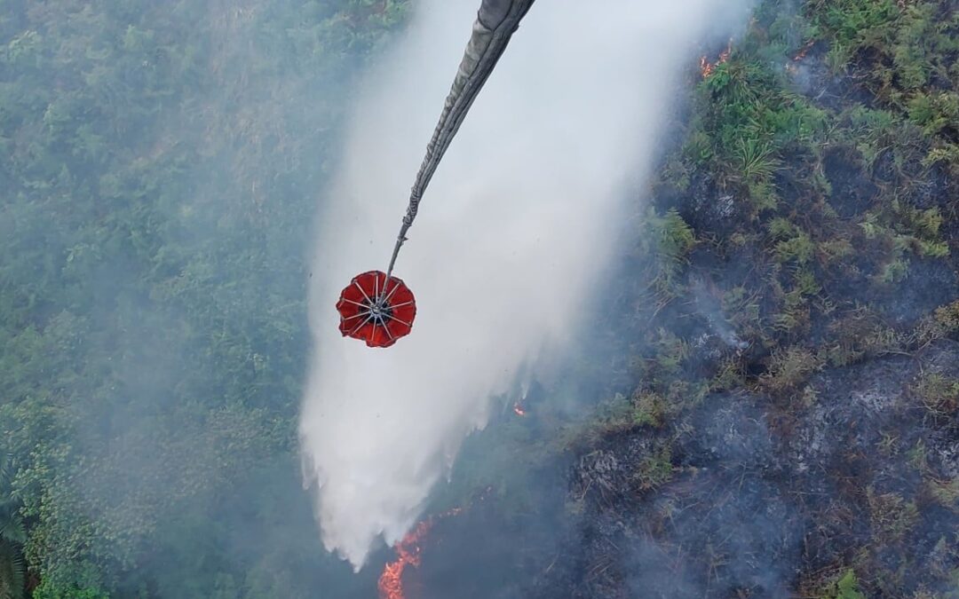 As toxic haze spreads, can Indonesia make land-burners pay?