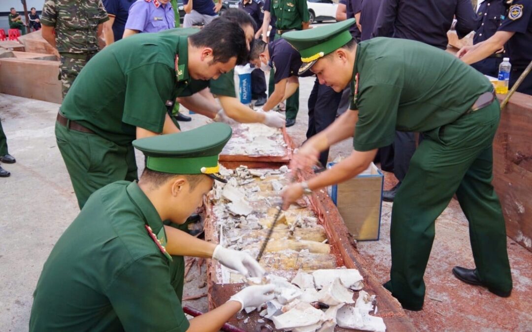 China banned ivory, but Vietnamese gangs keep the trade alive