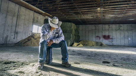 Iran war drives US farmers into worst crisis in 40 years – FT